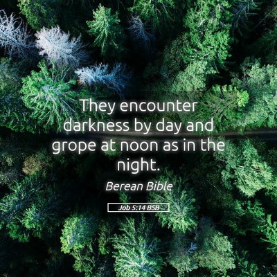 Picture 05 - Job 5:14 BSB - They encounter darkness by day and grope at noon - Bible Verse Picture