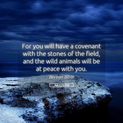 Picture 05 - Job 5:23 BSB - For you will have a covenant with the stones of - Bible Verse Picture