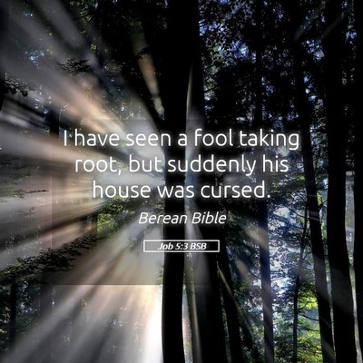Picture 05 - Job 5:3 BSB - I have seen a fool taking root, but suddenly his - Bible Verse Picture