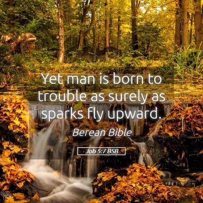 Picture 05 - Job 5:7 BSB - Yet man is born to trouble as surely as sparks - Bible Verse Picture