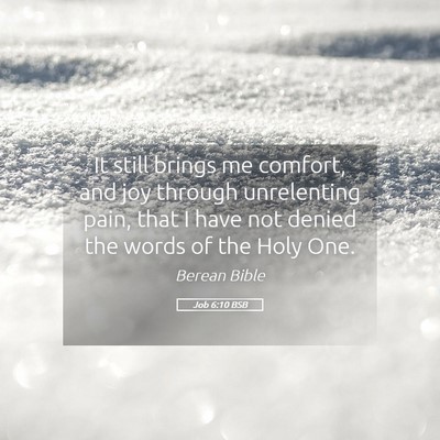 Picture 05 - Job 6:10 BSB - It still brings me comfort, and joy through - Bible Verse Picture