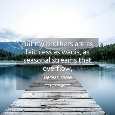 Picture 05 - Job 6:15 BSB - But my brothers are as faithless as wadis, as - Bible Verse Picture