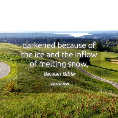Picture 05 - Job 6:16 BSB - darkened because of the ice and the inflow of - Bible Verse Picture