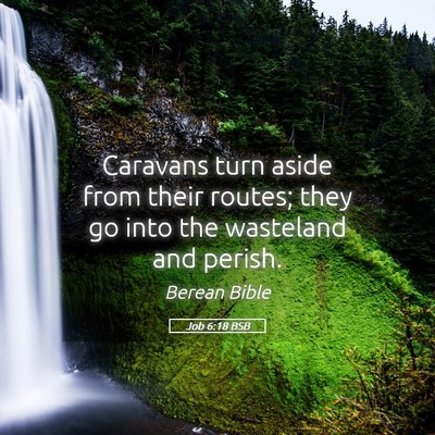 Picture 05 - Job 6:18 BSB - Caravans turn aside from their routes; they go - Bible Verse Picture