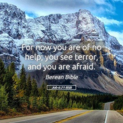Picture 05 - Job 6:21 BSB - For now you are of no help; you see terror, and - Bible Verse Picture
