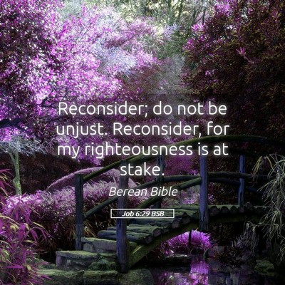 Picture 05 - Job 6:29 BSB - Reconsider; do not be unjust. Reconsider, for my - Bible Verse Picture