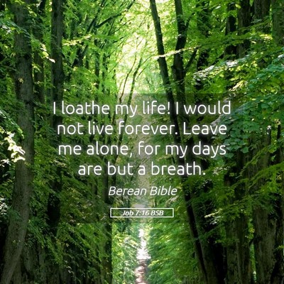 Picture 05 - Job 7:16 BSB - I loathe my life! I would not live forever. Leave - Bible Verse Picture