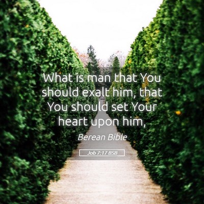 Picture 05 - Job 7:17 BSB - What is man that You should exalt him, that You - Bible Verse Picture