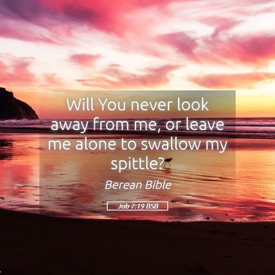 Picture 05 - Job 7:19 BSB - Will You never look away from me, or leave me - Bible Verse Picture