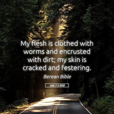 Picture 05 - Job 7:5 BSB - My flesh is clothed with worms and encrusted with - Bible Verse Picture