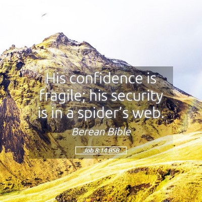 Picture 05 - Job 8:14 BSB - His confidence is fragile; his security is in a - Bible Verse Picture