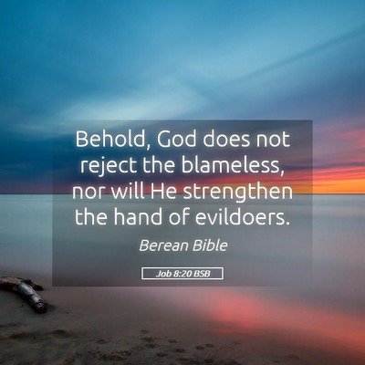 Picture 05 - Job 8:20 BSB - Behold, God does not reject the blameless, nor - Bible Verse Picture