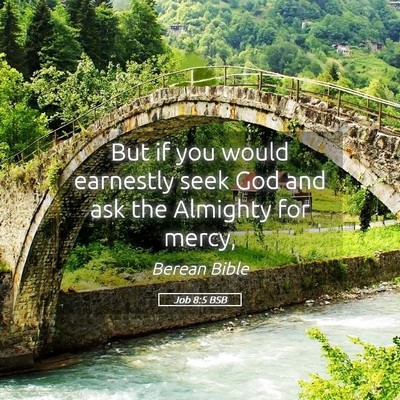 Picture 05 - Job 8:5 BSB - But if you would earnestly seek God and ask the - Bible Verse Picture