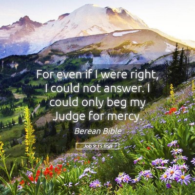 Picture 05 - Job 9:15 BSB - For even if I were right, I could not answer. I - Bible Verse Picture