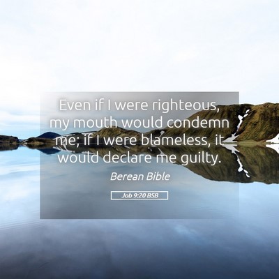 Picture 05 - Job 9:20 BSB - Even if I were righteous, my mouth would condemn - Bible Verse Picture