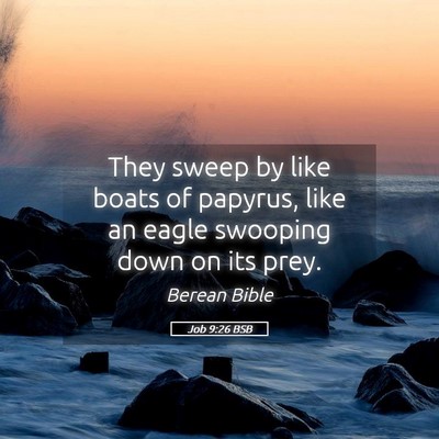 Picture 05 - Job 9:26 BSB - They sweep by like boats of papyrus, like an - Bible Verse Picture