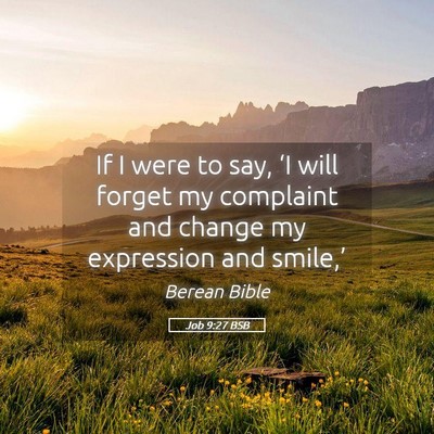 Picture 05 - Job 9:27 BSB - If I were to say, ‘I will forget my complaint - Bible Verse Picture
