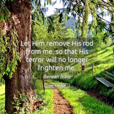 Picture 05 - Job 9:34 BSB - Let Him remove His rod from me, so that His - Bible Verse Picture