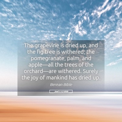 Picture 05 - Joel 1:12 BSB - The grapevine is dried up, and the fig tree is - Bible Verse Picture