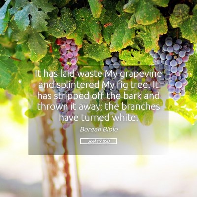 Picture 05 - Joel 1:7 BSB - It has laid waste My grapevine and splintered My - Bible Verse Picture