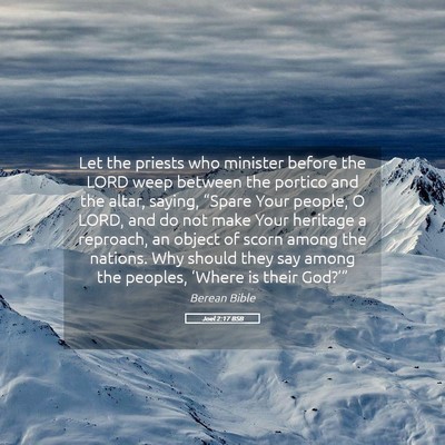Picture 05 - Joel 2:17 BSB - Let the priests who minister before the LORD weep - Bible Verse Picture