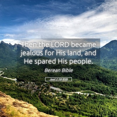 Picture 05 - Joel 2:18 BSB - Then the LORD became jealous for His land, and He - Bible Verse Picture