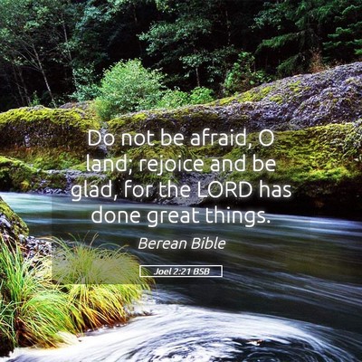 Picture 05 - Joel 2:21 BSB - Do not be afraid, O land; rejoice and be glad, - Bible Verse Picture
