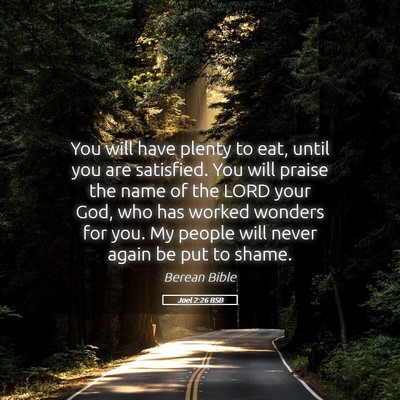 Picture 05 - Joel 2:26 BSB - You will have plenty to eat, until you are - Bible Verse Picture