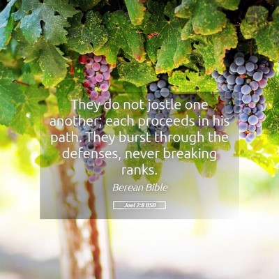 Picture 05 - Joel 2:8 BSB - They do not jostle one another; each proceeds in - Bible Verse Picture