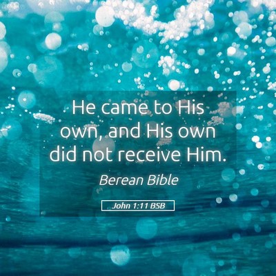 Picture 05 - John 1:11 BSB - He came to His own, and His own did not receive - Bible Verse Picture