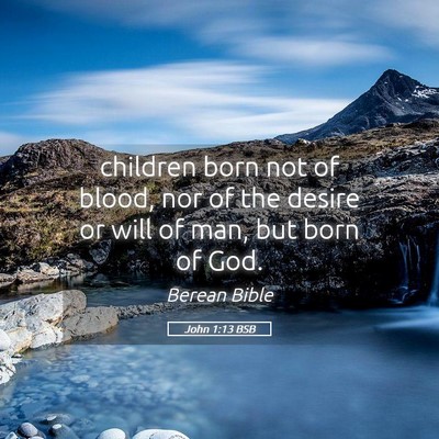 Picture 05 - John 1:13 BSB - children born not of blood, nor of the desire or - Bible Verse Picture