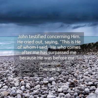Picture 05 - John 1:15 BSB - John testified concerning Him. He cried out, - Bible Verse Picture