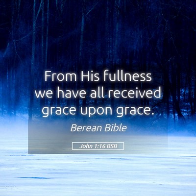 Picture 05 - John 1:16 BSB - From His fullness we have all received grace upon - Bible Verse Picture