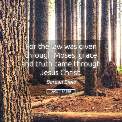 Picture 05 - John 1:17 BSB - For the law was given through Moses; grace and - Bible Verse Picture