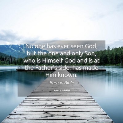 Picture 05 - John 1:18 BSB - No one has ever seen God, but the one and only - Bible Verse Picture