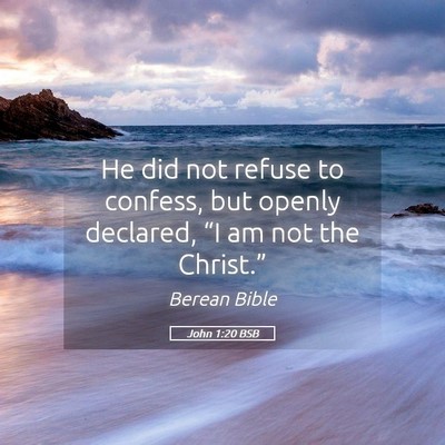 Picture 05 - John 1:20 BSB - He did not refuse to confess, but openly - Bible Verse Picture