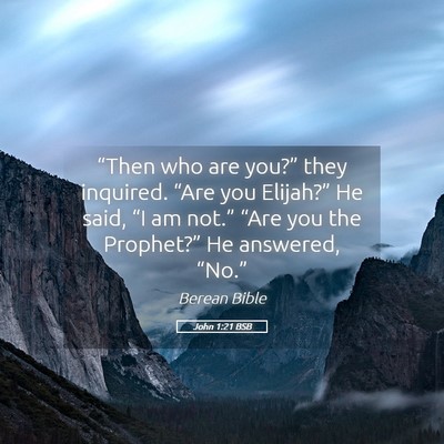 Picture 05 - John 1:21 BSB - “Then who are you?” they inquired. “Are you - Bible Verse Picture