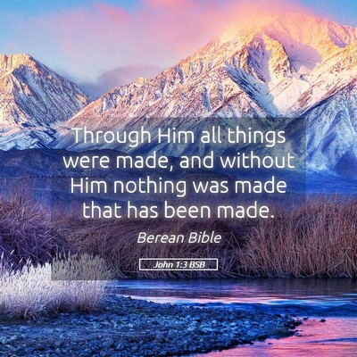 Picture 05 - John 1:3 BSB - Through Him all things were made, and without Him - Bible Verse Picture