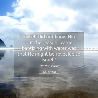 Picture 05 - John 1:31 BSB - I myself did not know Him, but the reason I came - Bible Verse Picture
