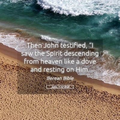 Picture 05 - John 1:32 BSB - Then John testified, “I saw the Spirit - Bible Verse Picture