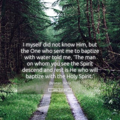 Picture 05 - John 1:33 BSB - I myself did not know Him, but the One who sent - Bible Verse Picture