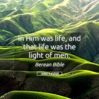 Picture 05 - John 1:4 BSB - In Him was life, and that life was the light of - Bible Verse Picture