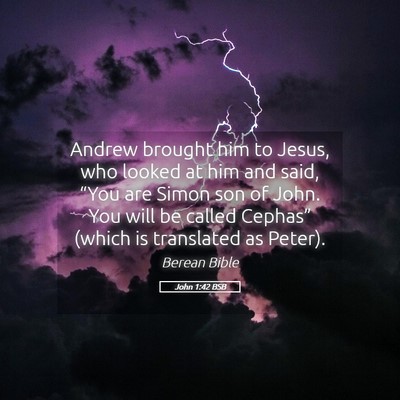 Picture 05 - John 1:42 BSB - Andrew brought him to Jesus, who looked at him - Bible Verse Picture