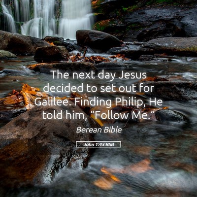 Picture 05 - John 1:43 BSB - The next day Jesus decided to set out for - Bible Verse Picture