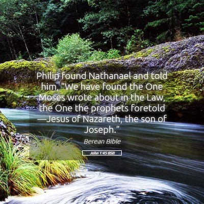 Picture 05 - John 1:45 BSB - Philip found Nathanael and told him, “We have - Bible Verse Picture