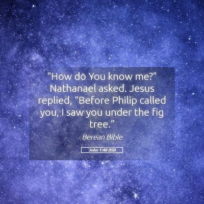 Picture 05 - John 1:48 BSB - “How do You know me?” Nathanael asked. Jesus - Bible Verse Picture