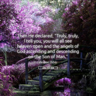 Picture 05 - John 1:51 BSB - Then He declared, “Truly, truly, I tell you, - Bible Verse Picture