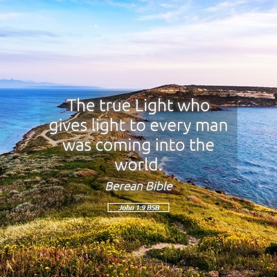 Picture 05 - John 1:9 BSB - The true Light who gives light to every man was - Bible Verse Picture