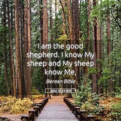 Picture 05 - John 10:14 BSB - I am the good shepherd. I know My sheep and My - Bible Verse Picture