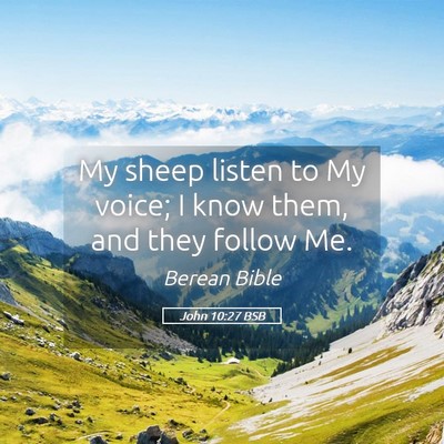 Picture 05 - John 10:27 BSB - My sheep listen to My voice; I know them, and - Bible Verse Picture